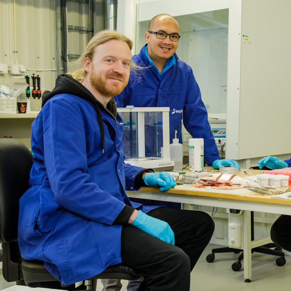 Nofimas Gerrit Timmerhaus og Carlo Lazado forsket i prosjektet, med kollega Lill-Heidi Johansen som prosjektleder. Foto: Terje Aamodt, Nofima.