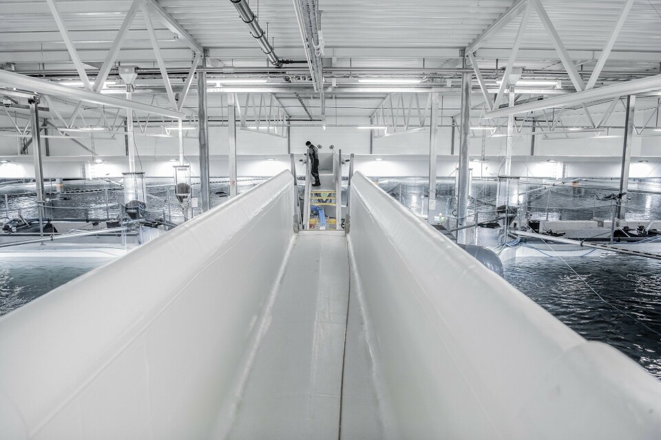 AKVA group skal levere utstyr til fase 1 av byggingen av Nordic Aqua Ningbo Co sitt landbaserte matfiskanlegg i Kina. Etter fase 1 skal man kunne produsere 4000 tonn årlig, og den første fisken forventes levert innen tre år. Illustrasjonsfoto: AKVA group. AKVA group skal levere utstyr til fase 1 av byggingen av Nordic Aqua Ningbo Co sitt landbaserte matfiskanlegg i Kina. Etter fase 1 skal man kunne produsere 4000 tonn årlig, og den første fisken forventes levert innen tre år. Illustrasjonsfoto: AKVA group.