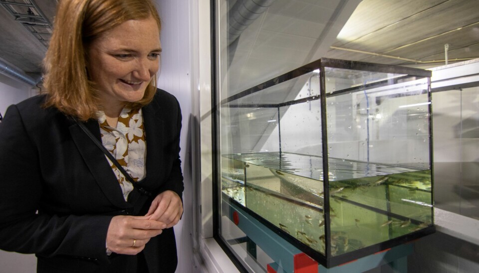 Ordfører Ida Pinnerød under omvisning på Salten Smolt.