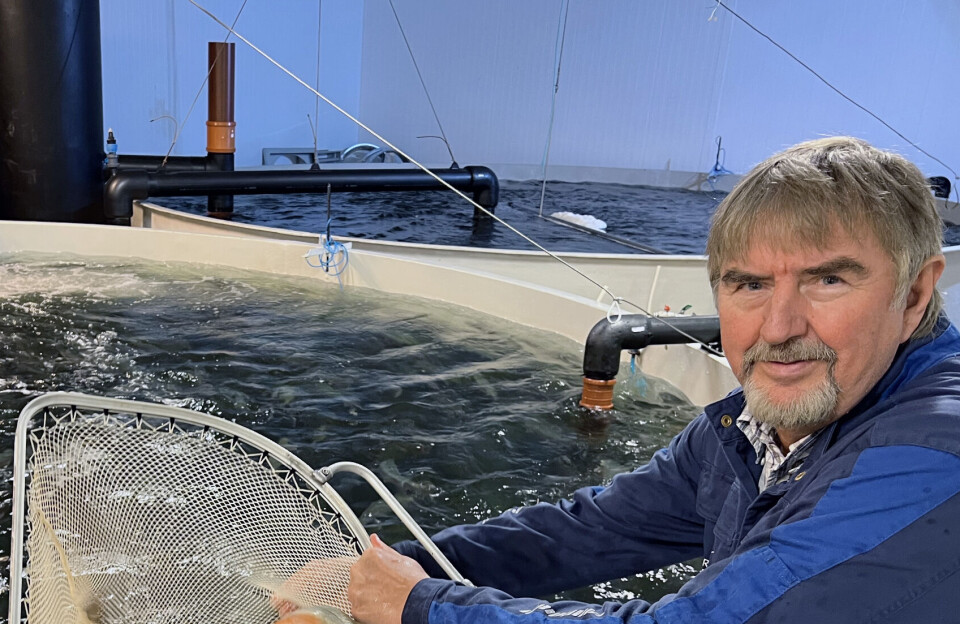 Matfiskoppdretter konkurs