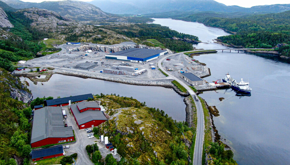 Oversiktsbilde Bindalssmolt (forgrunnen) med Svaberget Smolt og «Ronja Explorer» ved kaia.