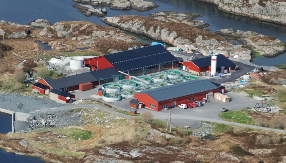 Nekton settefisk sitt anlegg på smøla.