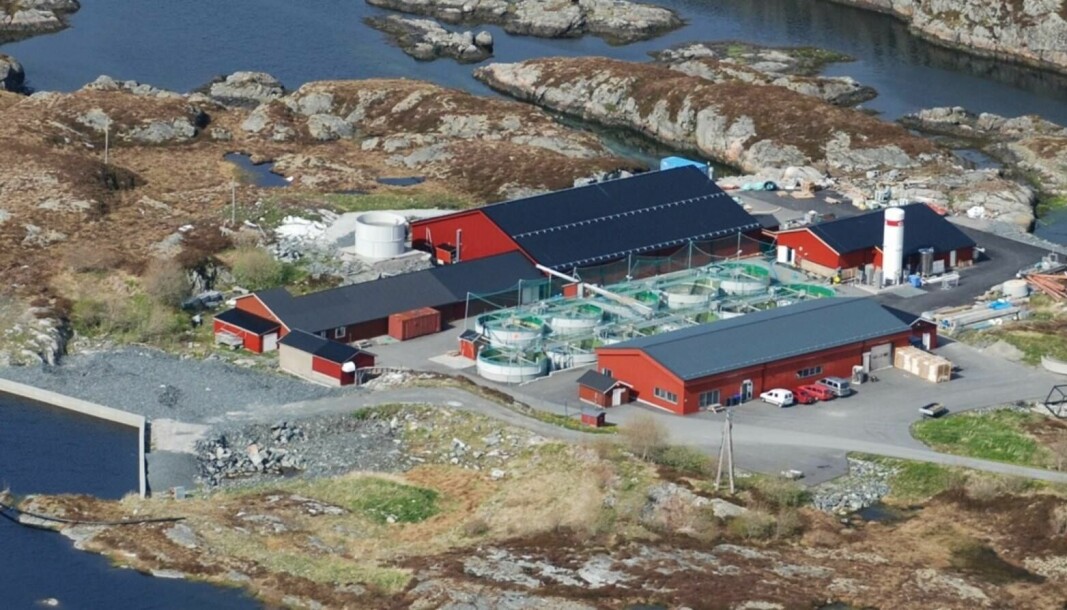 Nekton Settefisk sitt anlegg på Smøla. Selskapet satser nå på å produsere større smolt.
