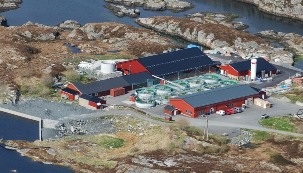 Nekton Settefisk sitt anlegg på Smøla. Selskapet satser nå på å produsere større smolt. Nekton Settefisk sitt anlegg på Smøla. Selskapet satser nå på å produsere større smolt.