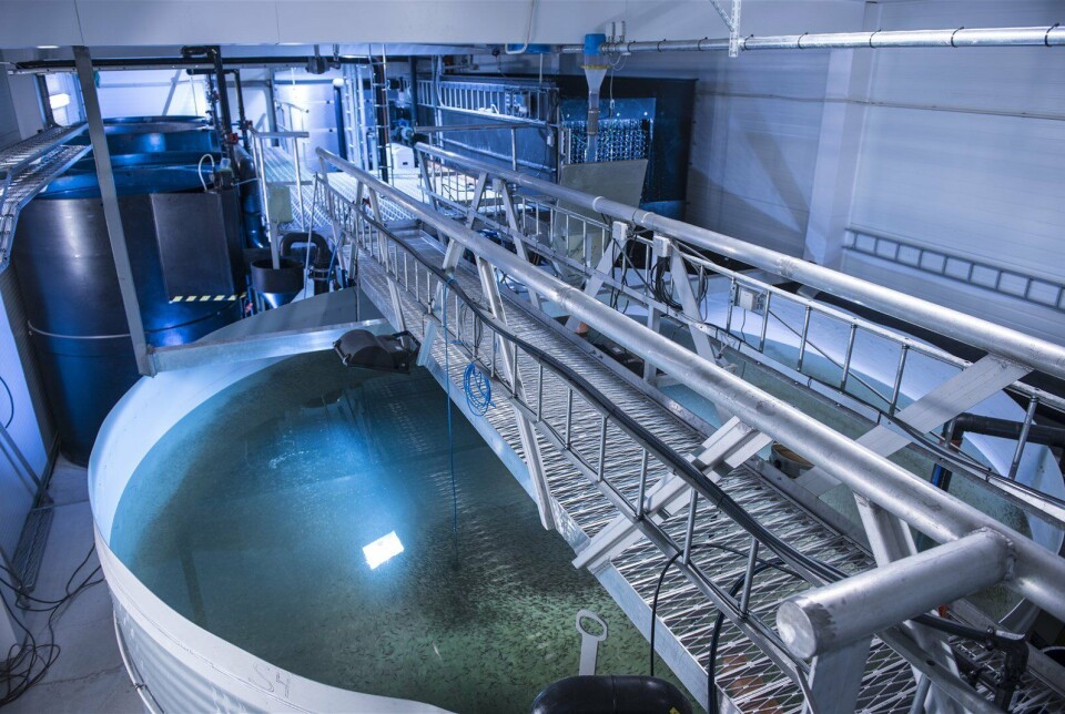 AKVA group Land Based mener grunnrenteforslaget gjør en vanskelig situasjon verre for dem.