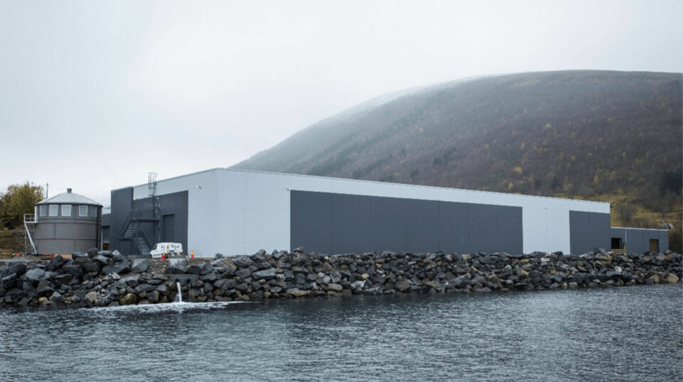 AquaGens Profunda-anlegg ble ferdigstilt i 2022, og vil etter selskapets mening bli et viktig bidrag til helårlig produksjon av lakserogn både til norske og internasjonale markeder.