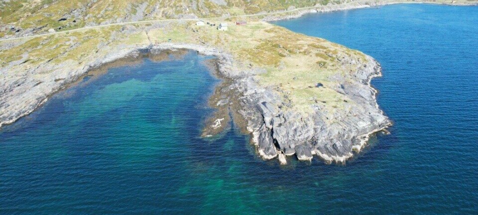 - Største RAS-kontrakt i Norge noensinne