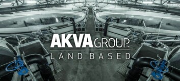AKVA group samler sin landbaserte aktivitet i én satsing