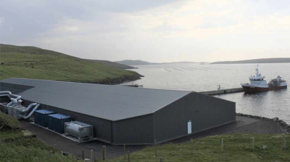 Scottish Sea Farms bruker 2 millioner pund på å oppgradere Girlsta-anlegget som ble anskaffet som en del av Grieg-avtalen. Scottish Sea Farms bruker 2 millioner pund på å oppgradere Girlsta-anlegget som ble anskaffet som en del av Grieg-avtalen.