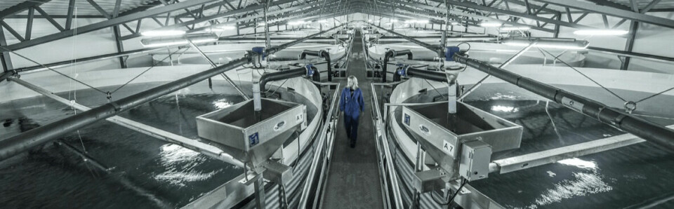 AKVA's Danish subsidiary has won a £10.6m contract to build a smolt hatchery in Russia. Photo: AKVA.