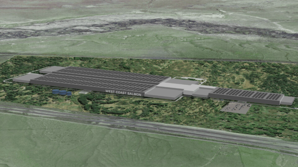 En illustrasjon av West Coast Salmon sitt kommende anlegg i Reno, Nevada. Foto: AquaMaof.