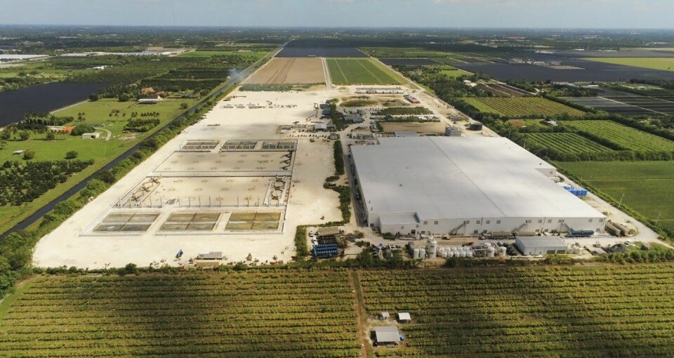 Atlantic Sapphires fasilitet i Florida.
