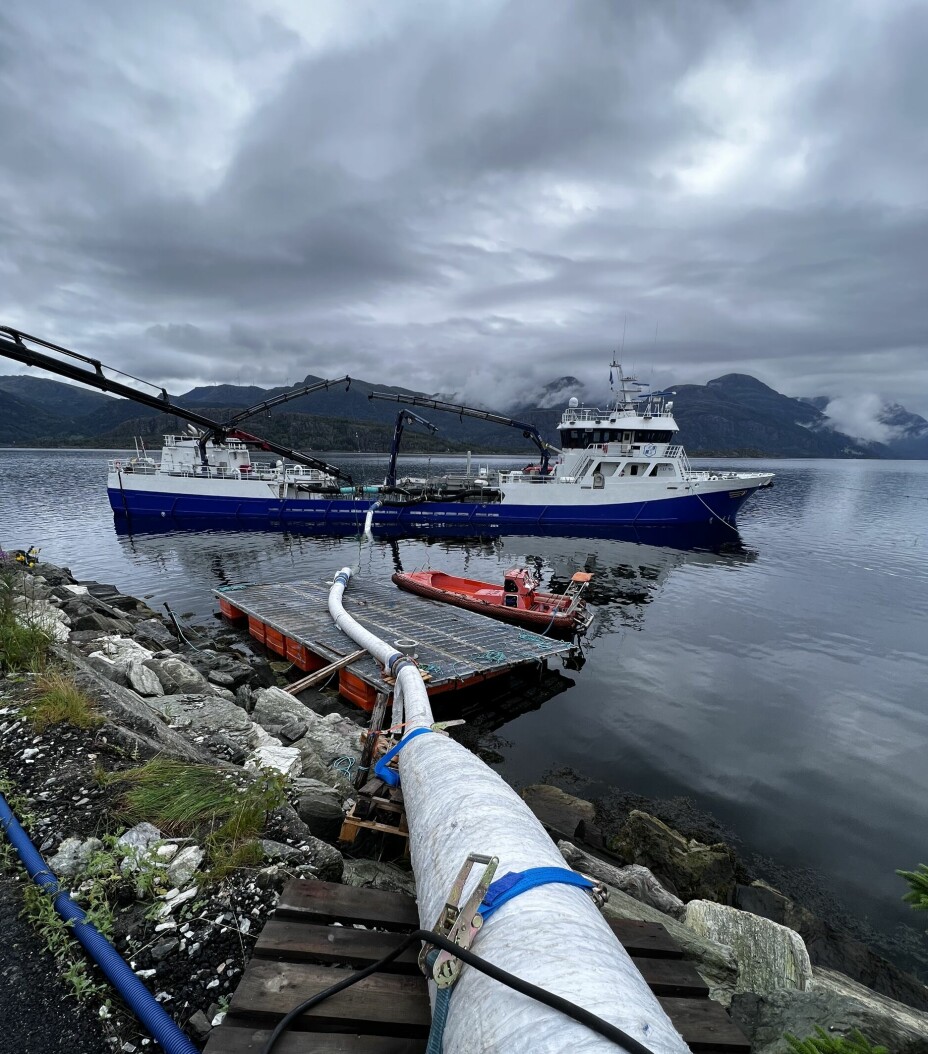 Egenkomponert leveringssystem laget for å sikre fiskevelferd også under levering av fisken.