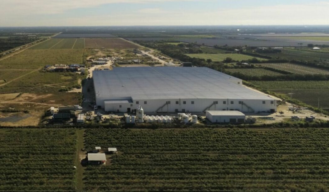 Det landbaserte selskapet med base i Florida slaktet 2 374 tonn laks og omsatte for ca 17 millioner dollar i året. Illustrasjonsfoto: Atlantic Sapphire