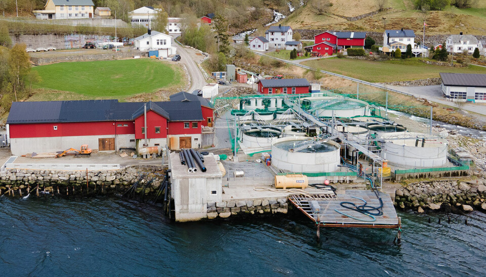 Anlegget til Kraft Laks, som nå heter Salmon Evolution Dale, har en produksjon på rundt 1,8 millioner smolt årlig. Anlegget til Kraft Laks, som nå heter Salmon Evolution Dale, har en produksjon på rundt 1,8 millioner smolt årlig.