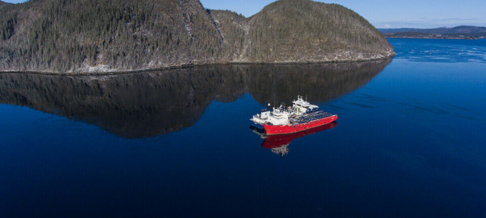 Ett år med nytt lakselusmiddel: 34 millioner laks har så langt blitt behandlet