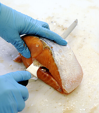 Har undersøkt norsk opp­drettsfisk for lege­middel­rester og miljø­gifter