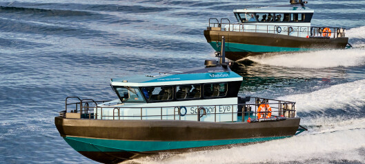 Disse helektriske båtene skal frakte publikum til Eide Fjordbruks «Salmon Eye»