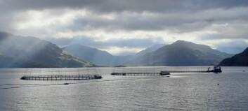 Net gains for Mowi at Loch Hourn