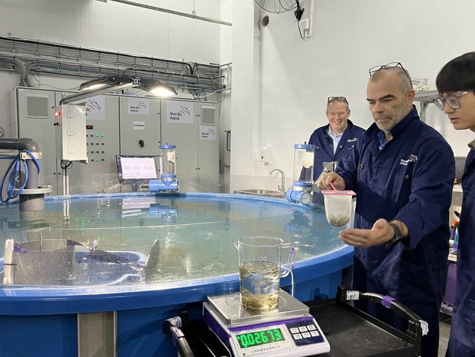 Produksjonssjef Bergur Martinsen inspiserer yngelen