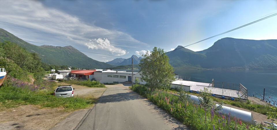 Her på denne tomten i Sigerfjord i Vesterålen planlegges det nå et privat FoU-anlegg for landbasert produksjon. Det er omsøkt tillatelse for ikke mindre enn 63 arter. Her på denne tomten i Sigerfjord i Vesterålen planlegges det nå et privat FoU-anlegg for landbasert produksjon. Det er omsøkt tillatelse for ikke mindre enn 63 arter.