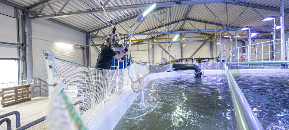 - Energibruken på RAS-anlegget er gunstig