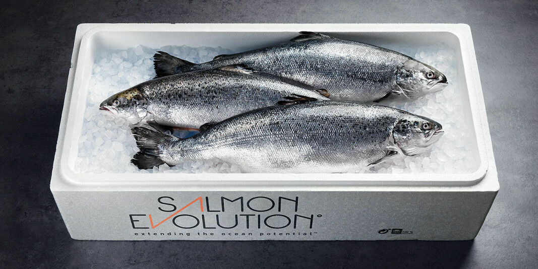 Salmon Evolution har valgt å selge fisken sin selv gjennom deres nye salgsselskap Salmon Evolution Sales, og har ansatt salgssjef Bertil Oscar Salen som vil ha en sentral rolle i utarbeidelse og implementering av salgsstrategien til Salmon Evolution.