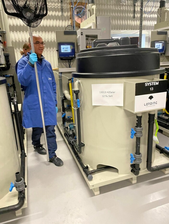 Forsøkene med hydrogensulfid til Carlo C. Lazado innviet den nye «et-kar-et-RAS» infrastrukturen hos Nofima på Sunndalsøra. Forsøkene med hydrogensulfid til Carlo C. Lazado innviet den nye «et-kar-et-RAS» infrastrukturen hos Nofima på Sunndalsøra.