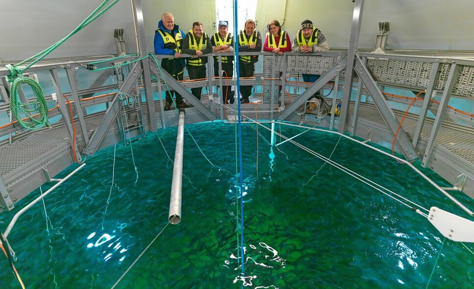 Søndag 9. oktober vart den fyrste fisken satt inn i «Egget». Dei nyinnflytta er 50 000 sølvblanke 150 grams laksesmolt.