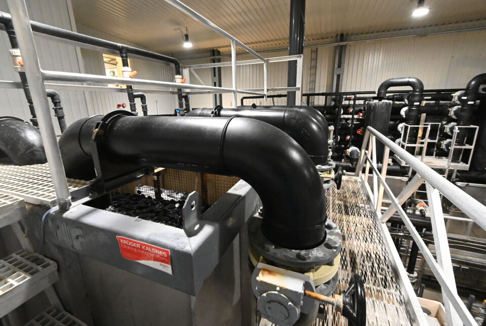 RAS-anlegget benytte moving bed i biofilteret. RAS-anlegget benytte moving bed i biofilteret.