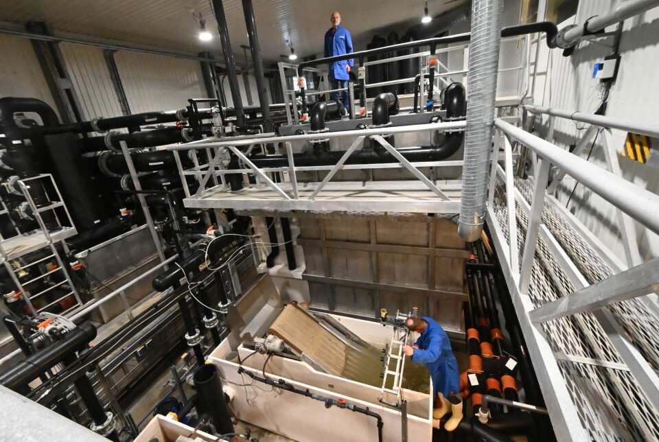 Mekanisk filter og biofilter er hjertet i RAS-anlegget Mekanisk filter og biofilter er hjertet i RAS-anlegget