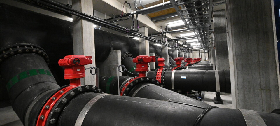 Salmon Evolution skal starte ferskvannsbehandling denne uken