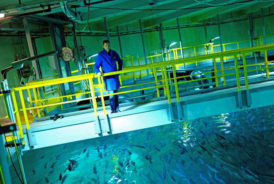 Fisken vokser bra og dødeligheten holder seg lav. Bildet viser produksjonssjef Skjalg Pedersen ved en tidligere anledning.