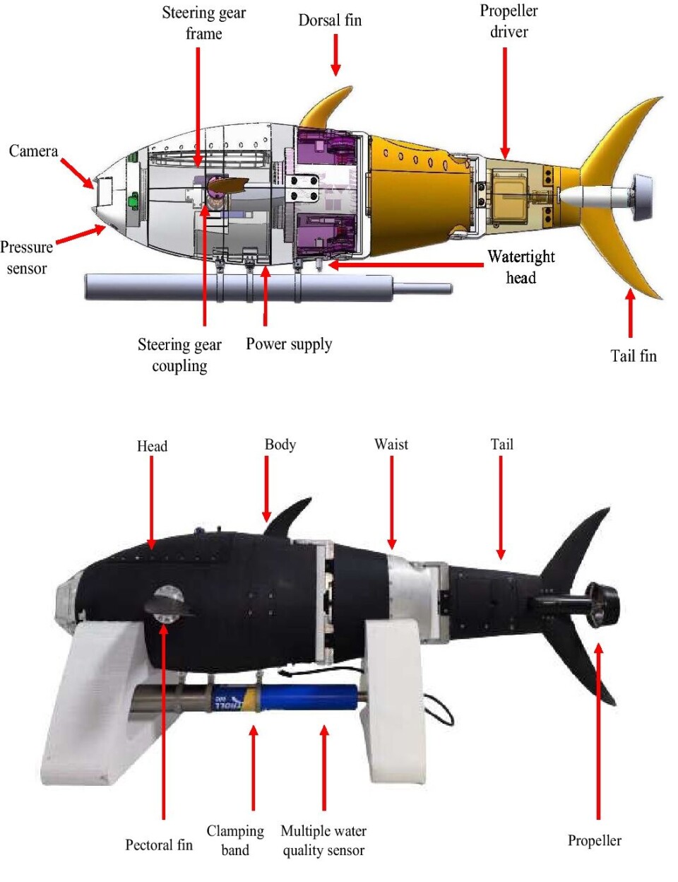 Skisse av robotfisken. Skisse av robotfisken.