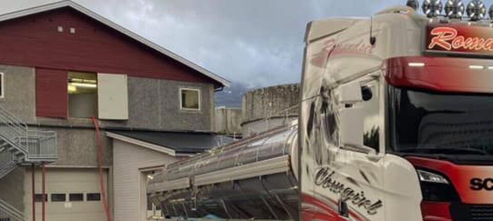 - Med kjøp av Fjordsmolt har vi biologisk forutsigbarhet