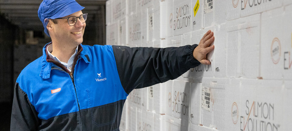 Slaktet den første fisken