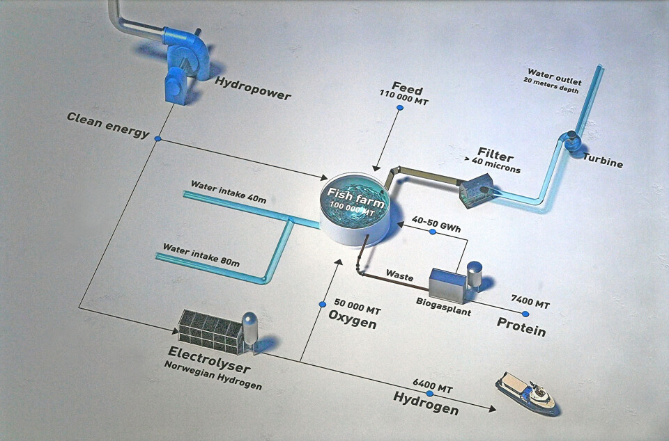 Flytskjema over vannbruken i anlegget.