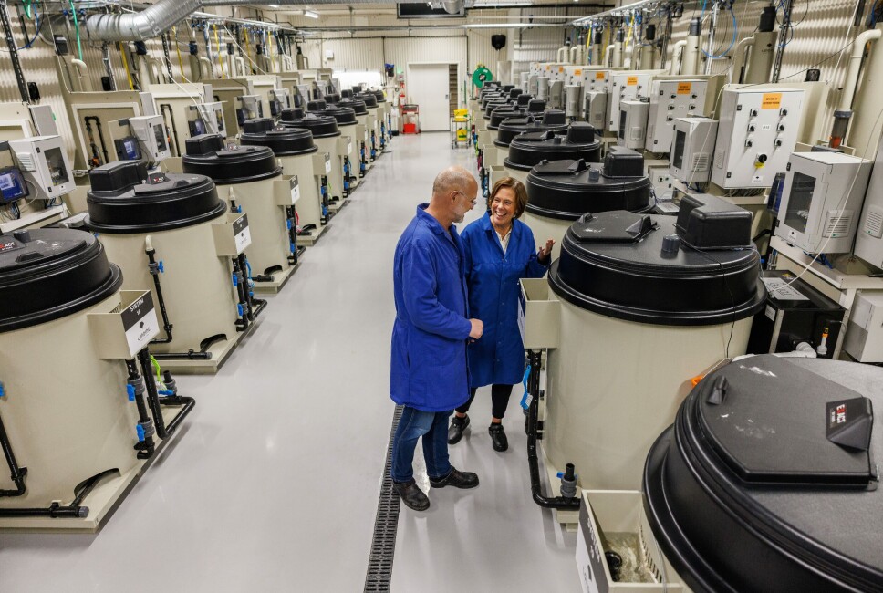 Ved Nofima Sunndalsøra skal deler av Temp-intens forsøket foregå. Her ser du Per Brunsvik, stasjonsbestyrer ved Nofima Sunndalsøra sammen med seniorforsker og prosjektleder Åsa Maria Espmark.