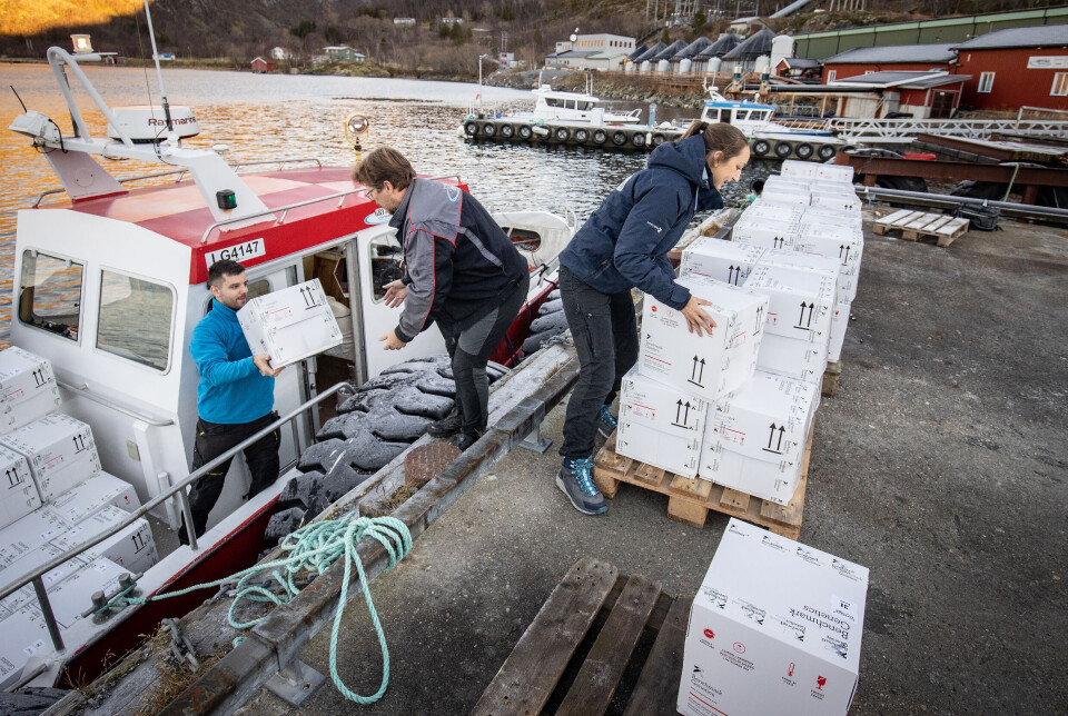 Godt lagarbeid må til når leveringen med øyerogn fra Benchmark Genetics Salten kommer til Grytåga. F.v. tekniker Yonas Iversen, daglig leder Ronny Slåtterøy og teamleder Lotte Solli Lien. Godt lagarbeid må til når leveringen med øyerogn fra Benchmark Genetics Salten kommer til Grytåga. F.v. tekniker Yonas Iversen, daglig leder Ronny Slåtterøy og teamleder Lotte Solli Lien.