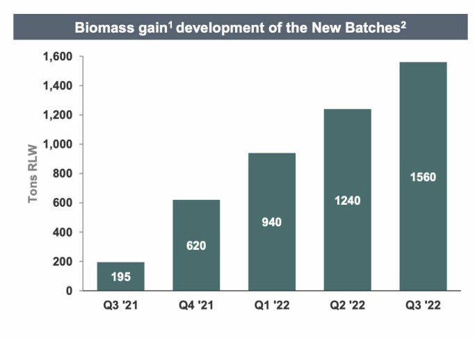 Utvikling i biomasse hos Atlantic Sapphire fra Q3 i 2021 til Q3 2022.