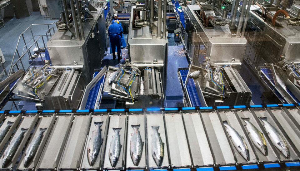 Viplast AS produserer fiskekasser og holder til vegg i vegg med slakteriet til SinkabergHansen. Viplast AS produserer fiskekasser og holder til vegg i vegg med slakteriet til SinkabergHansen.