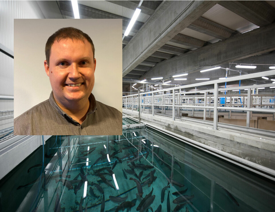 Som en del av Pure Salmon Kaldnes nye strategi velger de å åpne kontorer i Fredericia 2023. Jon Pedersen vil være en sentral del av teamet som skal arbeide der.