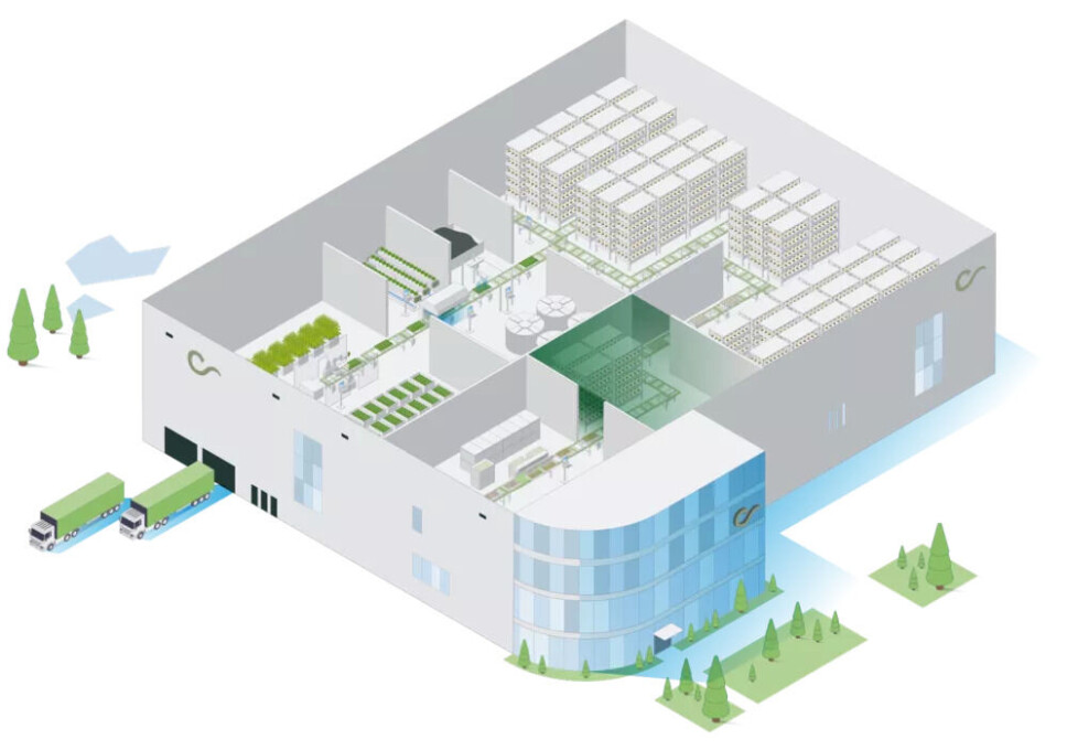 Columbi Farms er et datterselskap av Columbi Salmon. Nå har de store planer for grønnsaksdyrking basert på slam.