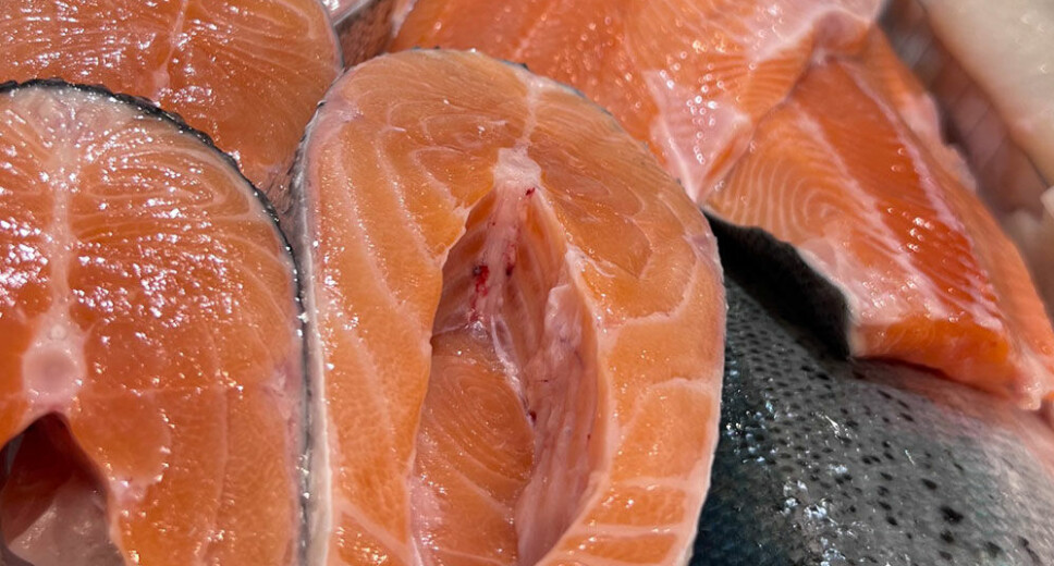 Salmon Evolution får gode tilbakemeldinger på kvaliteten på fisken sin. Salmon Evolution får gode tilbakemeldinger på kvaliteten på fisken sin.