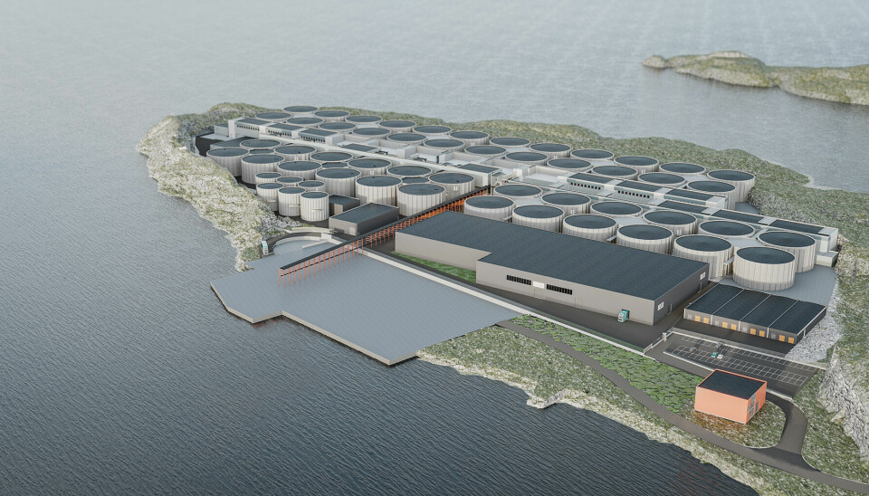 Illustrasjon av anlegget på Indre Harøy slik det er tenkt fullt utbygd.
