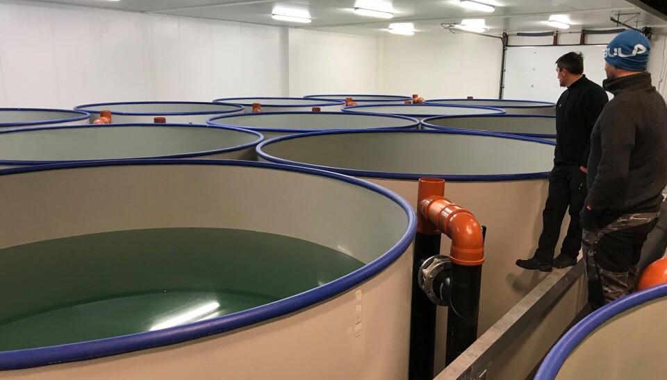 90 prosent av Polarplast sine leveranser er til bedrifter innenfor oppdrettsnæringen. 90 prosent av Polarplast sine leveranser er til bedrifter innenfor oppdrettsnæringen.