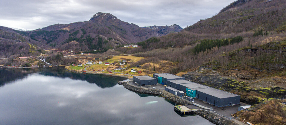 Det landbaserte stamfisk- og rognanlegget som Benchmark Genetics Norway har bygget og drifter i Sørfold kommune.