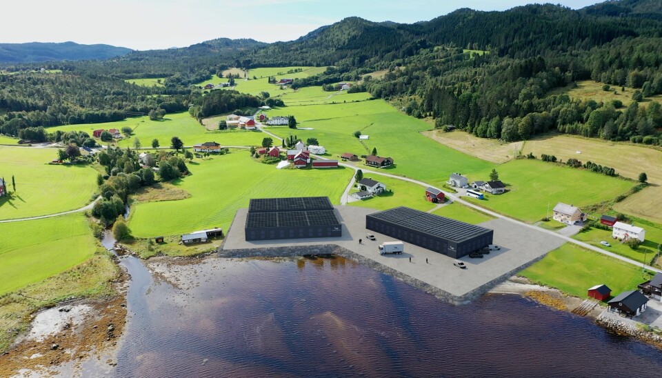 Nordic Halibut planlegger nytt landbasert anlegg i Tingvoll med produksjonsstart i 2027.