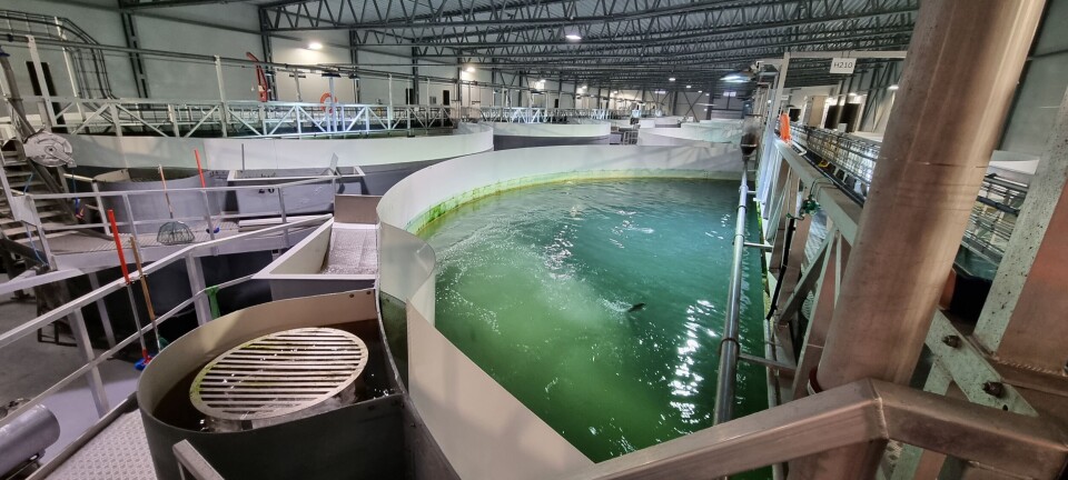 I norsk fiskeoppdrett er det behov for biosikkerhet og forutsigbare vannverdier. Det innebærer kontroll med smittestoffer i planlegging og drift, og nøyaktige rutiner og forvaltningsinstrument. Det skriver Kristine Størkersen m.fl. fra SINTEF i artikkelen 'Biosikkerhet i driftssituasjonen' i den siste utgaven av LandbasedAQ I norsk fiskeoppdrett er det behov for biosikkerhet og forutsigbare vannverdier. Det innebærer kontroll med smittestoffer i planlegging og drift, og nøyaktige rutiner og forvaltningsinstrument. Det skriver Kristine Størkersen m.fl. fra SINTEF i artikkelen 'Biosikkerhet i driftssituasjonen' i den siste utgaven av LandbasedAQ