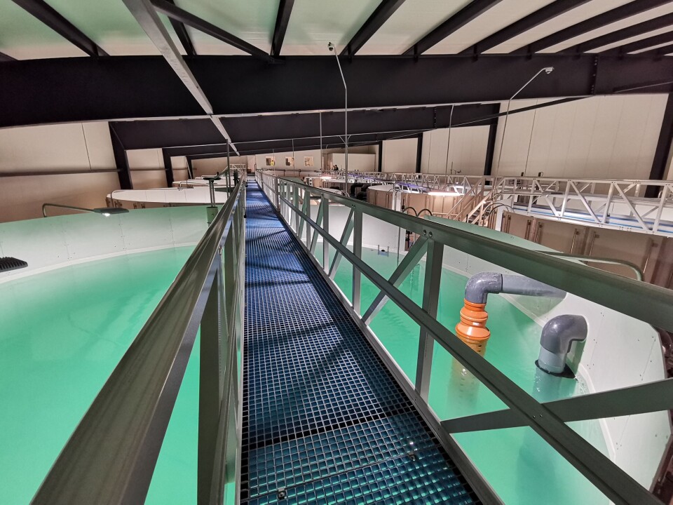 Å ha en coating som er holdbar og passer til det miljøet den utsettes for er viktig både for systemets levetid, men også for hygiene og dremed fiskehelse. Foto: Silikal GmbH Å ha en coating som er holdbar og passer til det miljøet den utsettes for er viktig både for systemets levetid, men også for hygiene og dremed fiskehelse. Foto: Silikal GmbH